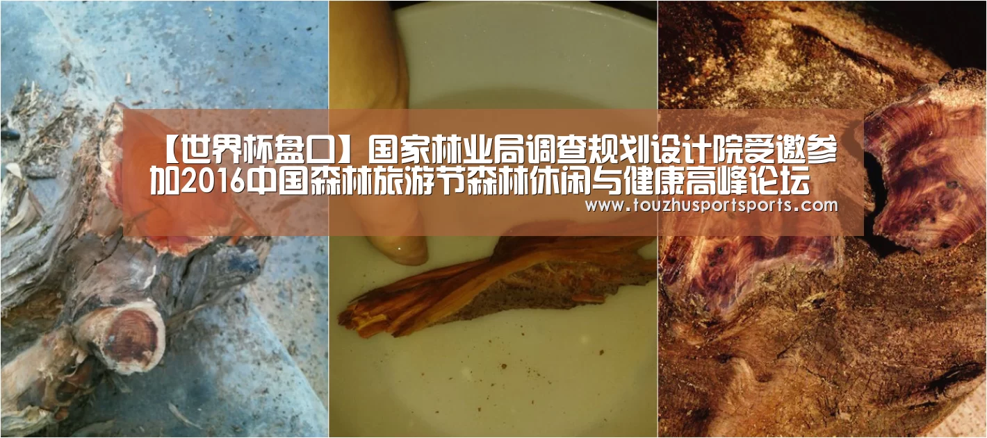 【世界杯盘口】国家林业局调查规划设计院受邀参加2016中国森林旅游节森林休闲与健康高峰论坛(图2) 世界杯投注